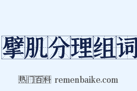 擘肌分理组词是什么意思的图片
